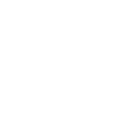 Hispa