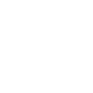 Skills inc