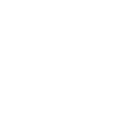 Toyo Tyres