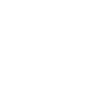 UNDP