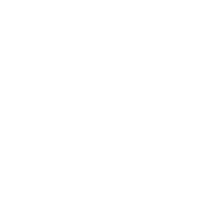Skills inc