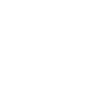 Toyo Tyres